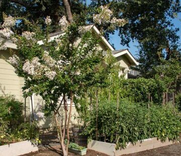 mount avenue cottages exterior photo