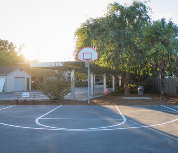 park lane basketball court photo