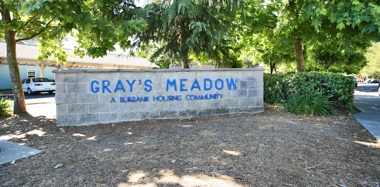 Gray's meadow